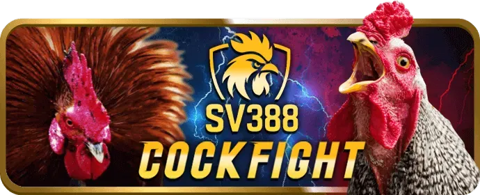 Bảo mật dữ liệu 33win02 casino